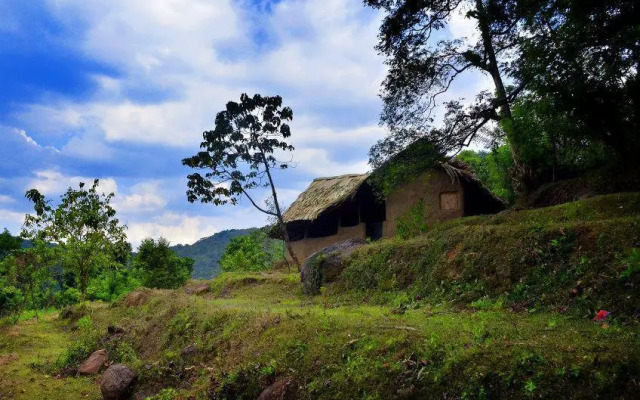 Knuckles Forest Lodge