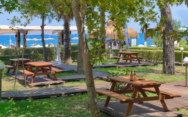 Seven Seas Gravel Select Kemer