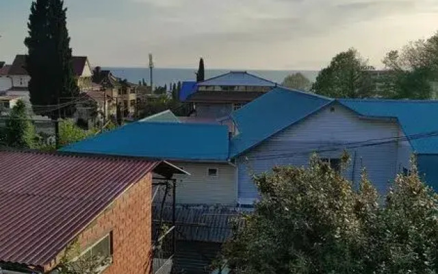 Pod palmoj