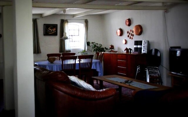 Stutteri Skandi Hest