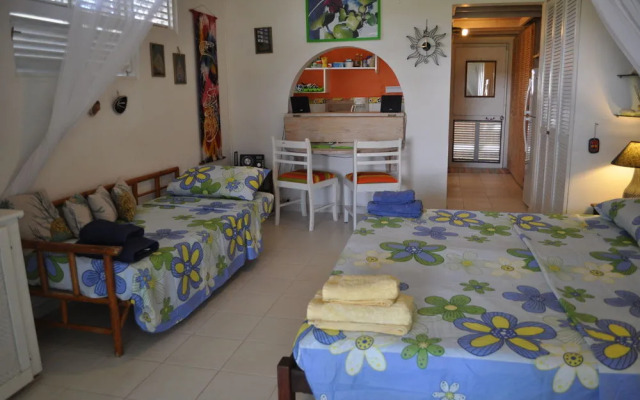 Green Garden Apartment