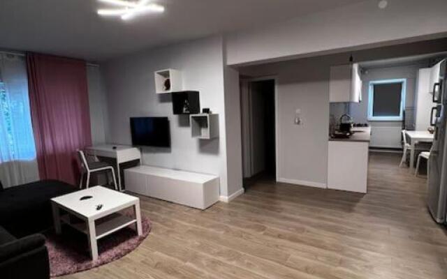 Hugo House Timisoara