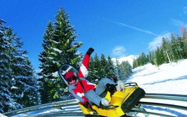 Hotel Appartement Winkler