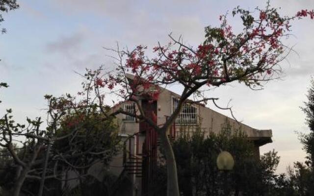 Lucrezia Loft Garden Catania