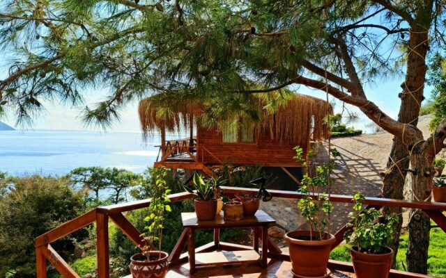 La Boheme Kabak