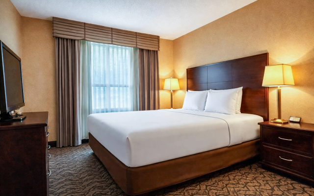 Comfort Inn & Suites Ambassador Bridge