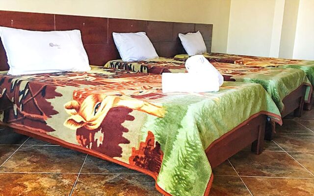 Modest Inn Limited