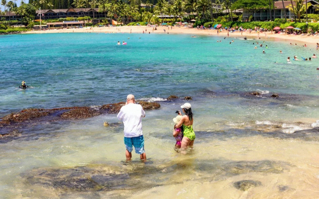 Napili Point C-12 - 2Br Condo