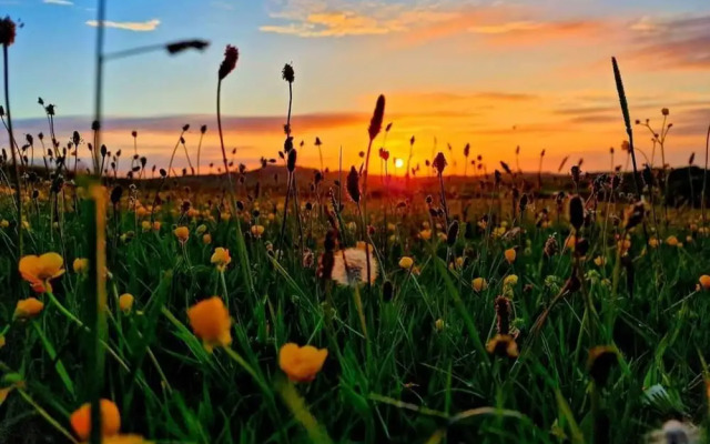 Sea View hut Sleeps 4/6