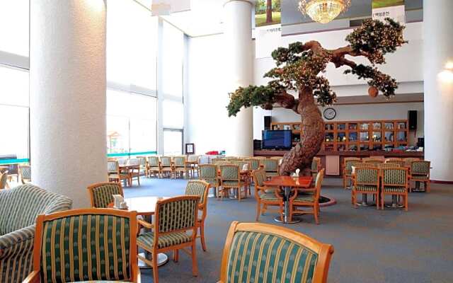Hanwha Resort Baegam Spa