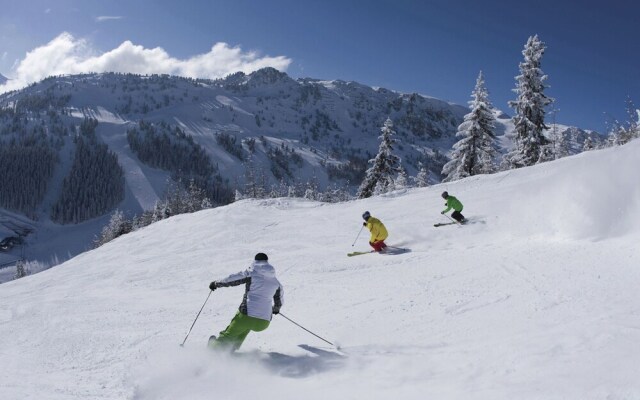 Luxurious Apartment Near Ski Bus Stop in Mayrhofen