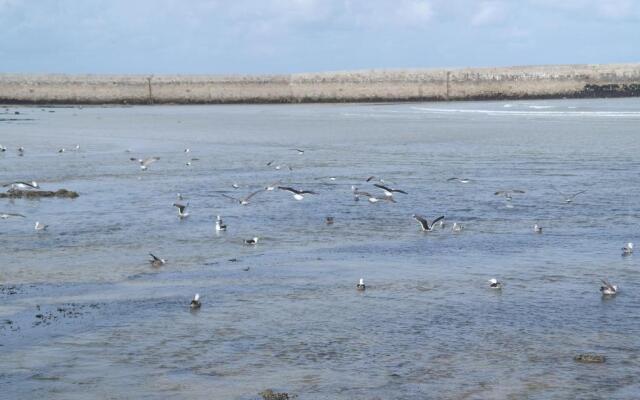 Appartement cosy bord de mer
