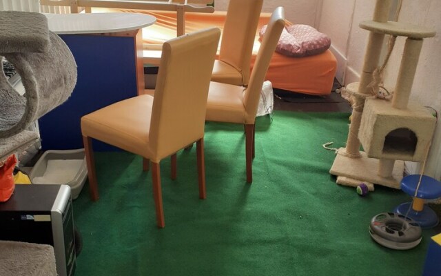 Cozy Small House on the Beach for pet Lovers