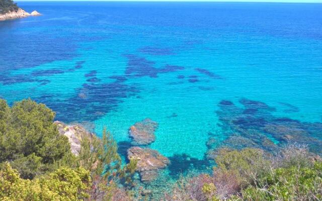 Villa miel et coquelicots
