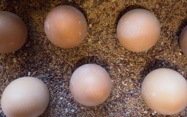 KONTAKTLOS Hotel Am Kappelberg KONTAKTLOS