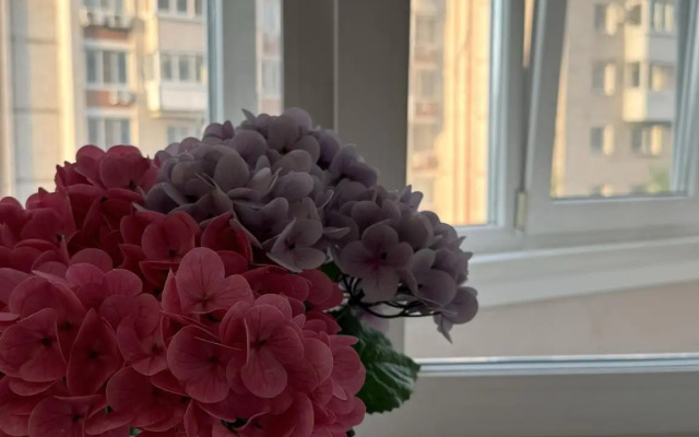 Апартаменты на улице Большая 9