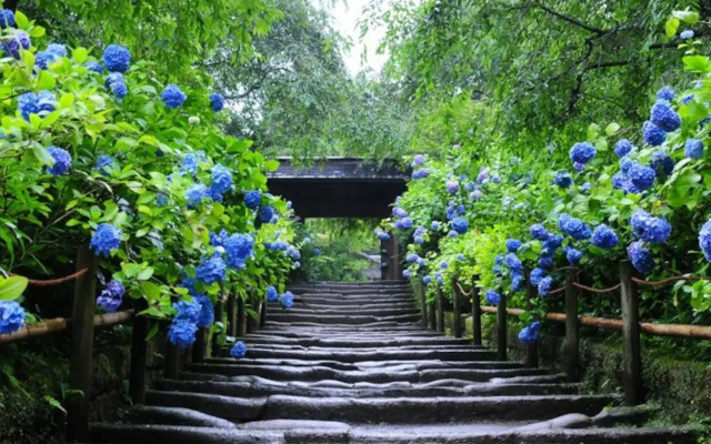 Credo Maison Kamakura 202