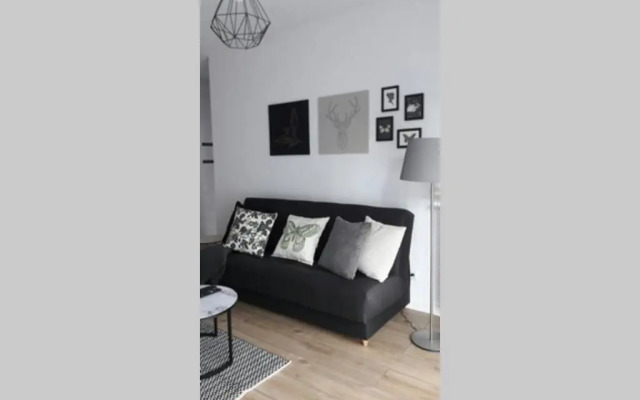 Lux Apartment close to Medicover and Paley