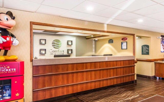 Comfort Inn Anaheim Resort