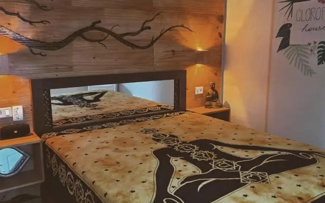 Suite Clorofila House Guest House