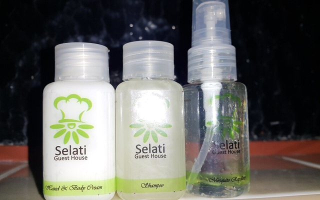 Selati Guest House