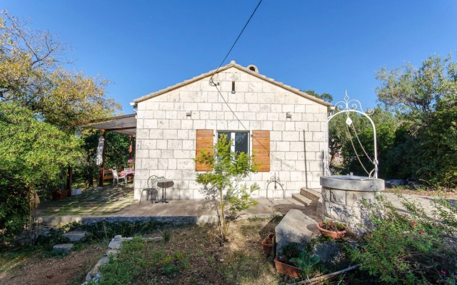 House Green Oases in Center