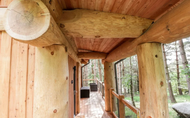 Pine Marten Lodge