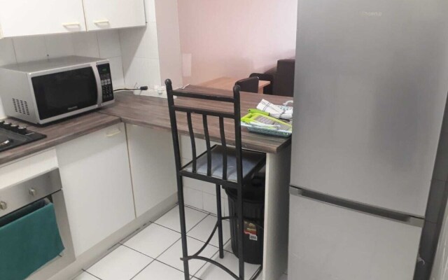 Central Sandton Apartment