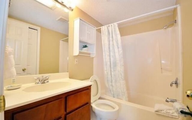 Dolphin Run by Blue Sun