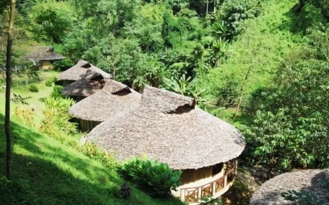 Tad Placamp Healing Retreat