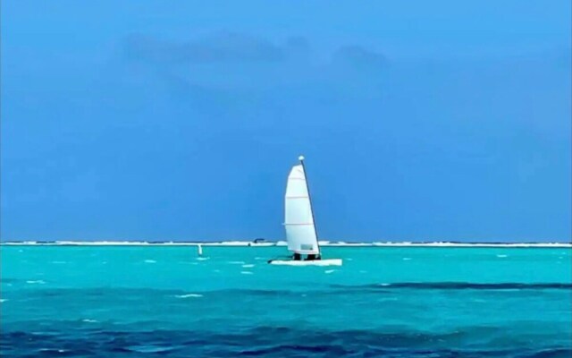 Modern house with océano view in Belice