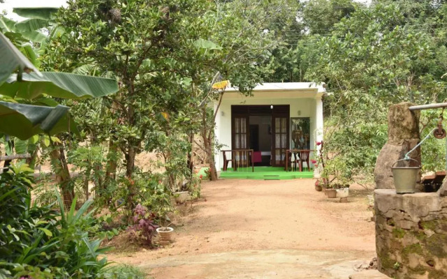 Sigiri Elephant View Guest