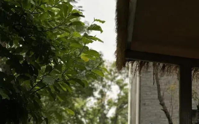 Dali Chuchu Cottage Homestay