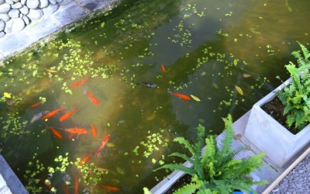 Dali Tophood Hotel (Erhaimen Gate, Dali Ancient Town)