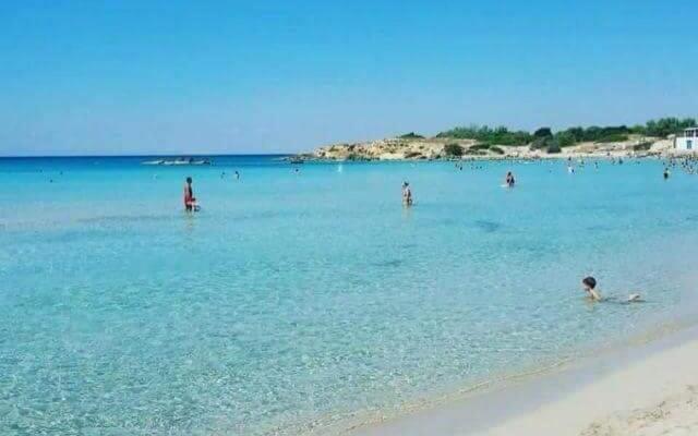 Aragonese 73