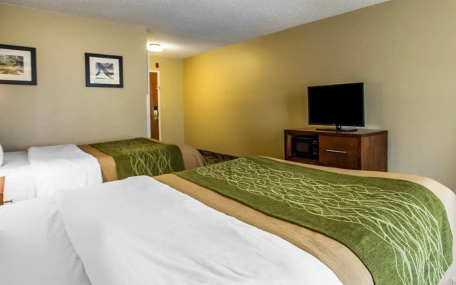 Comfort Inn & Suites