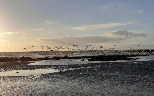 Appartement Wimereux, 4 pièces, 6 personnes - FR-1-376-55