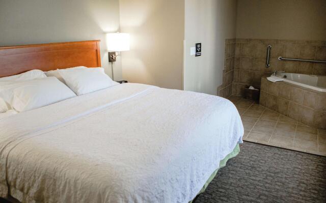 Hampton Inn Mitchell