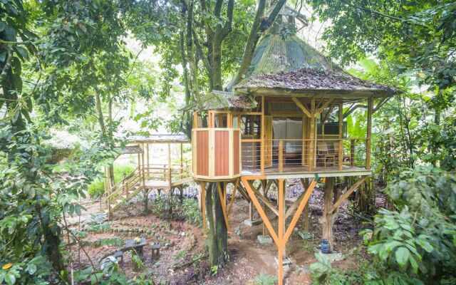 Finca Bellavista Treehouse Community