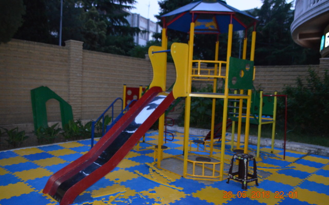 Дельфин (Партенит)