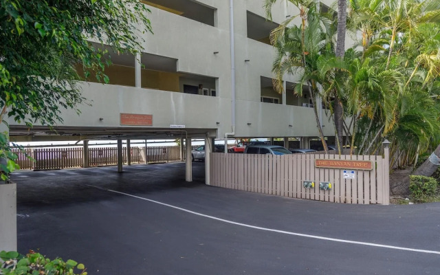 Banyan Tree 404d