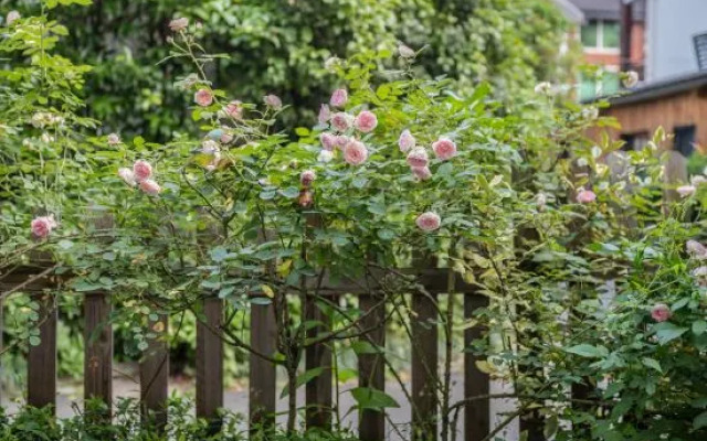 Xihu 78 Lagerstroemia boutique hotel