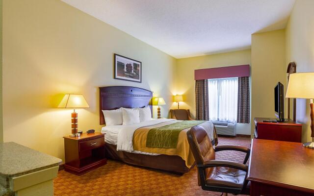 Comfort Inn & Suites Port Arthur-Port Neches