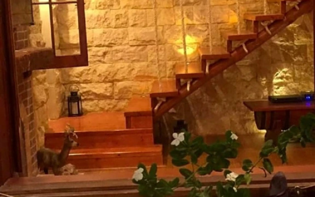 Jasmin Holiday House