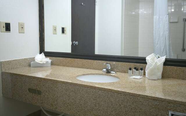 Wyndham Garden Romulus Detroit Metro Airport