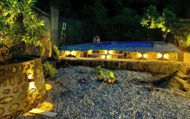 The Cozy Acorn Resort