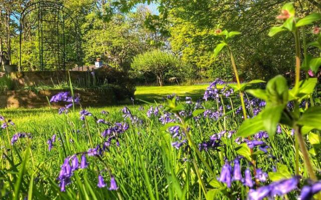 Daweswood Guest Suite - Luxury retreat with optional hot tub