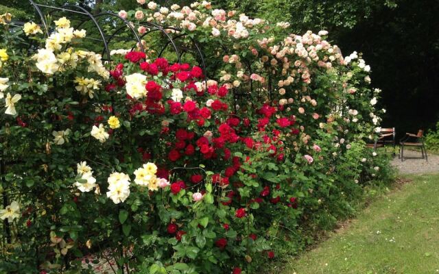 Hotel Willa Starosty