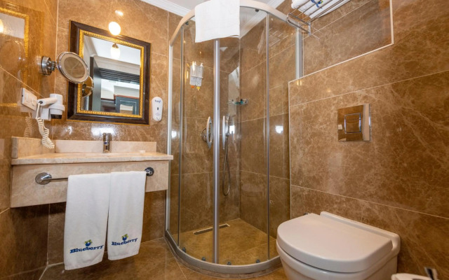 Blueberry Boutique Hotel