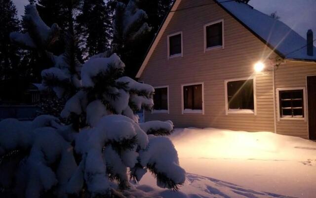 Guest House In Serebryaniy Bor